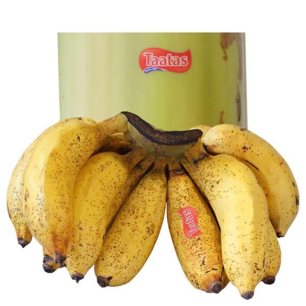 Kappal Banana கப்பல் வாழைப்பழம்