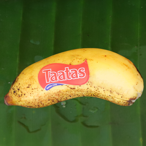 Kappal Banana கப்பல் வாழைப்பழம்