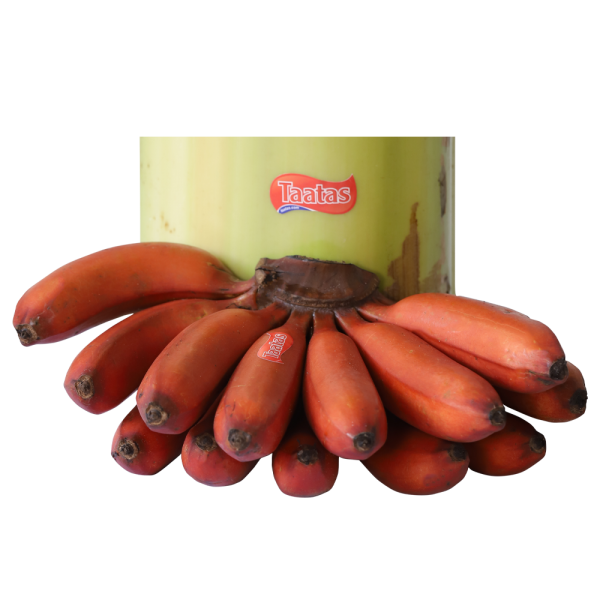 Red-Banana