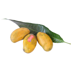 Mango மாம்பழம்